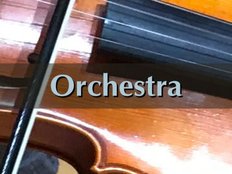 Orchestra