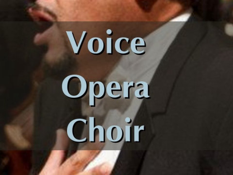 Voice Opera Choir